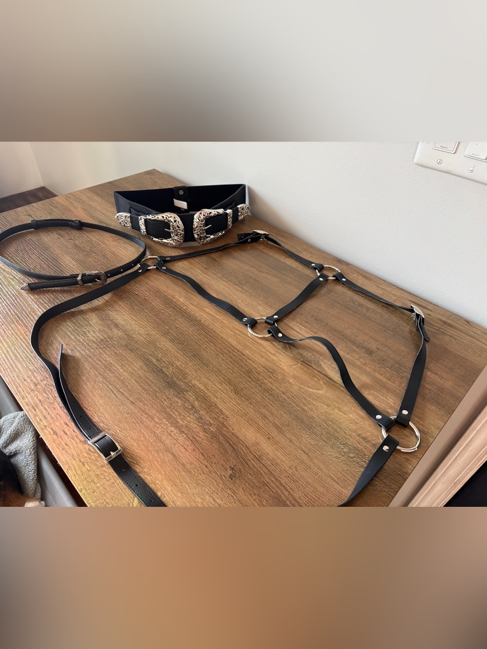 Bundle of 2 Western Buckle Belts and Leather Jenny Machete Harness